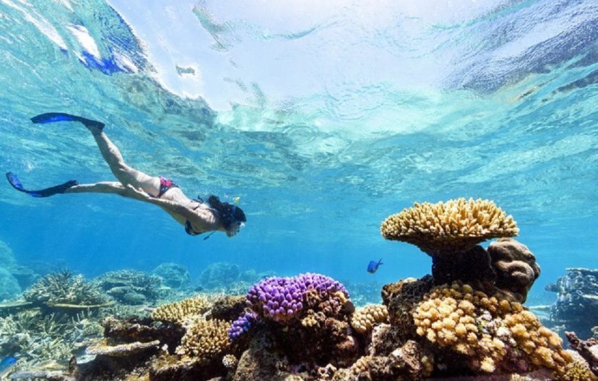 PRIVATE Speed Boat Trip in Hurghada