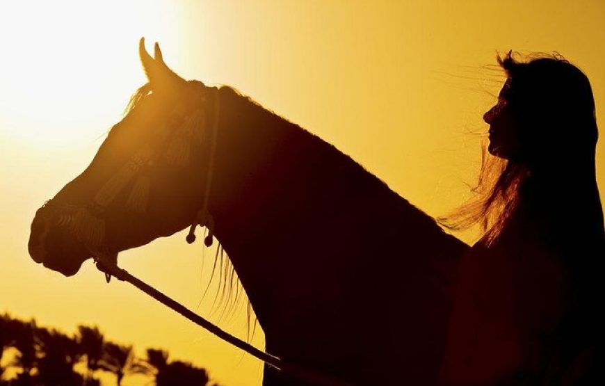 Horse Riding in Hurghada