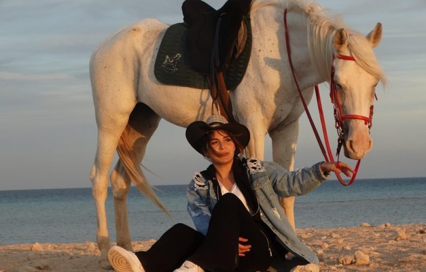 Horse Riding in Hurghada