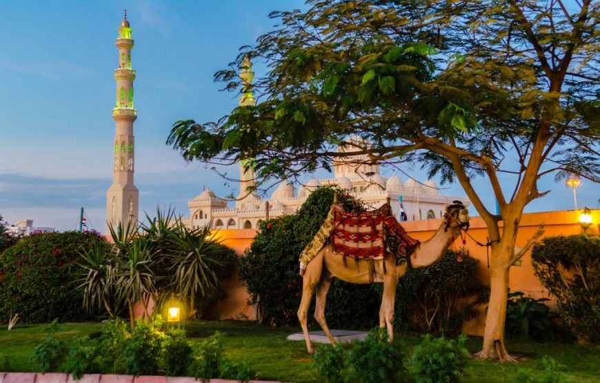 Hurghada City Tour From Marsa Alam (Over Day)