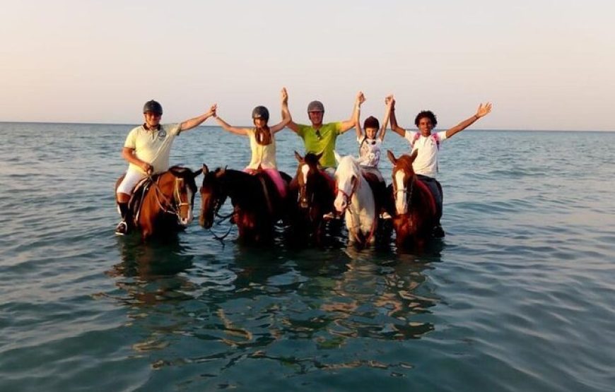 Horse Riding in Hurghada