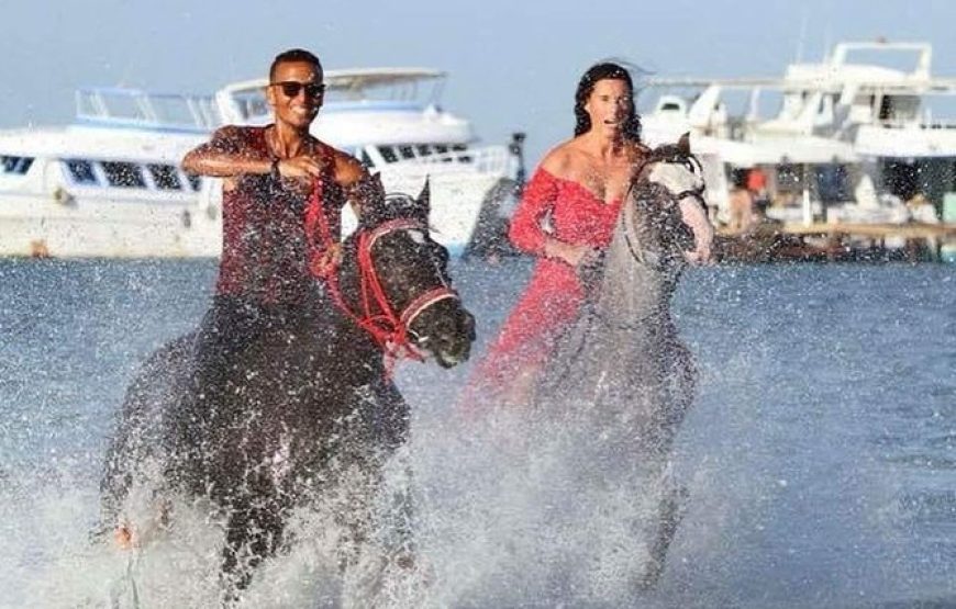 Horse Riding in Hurghada