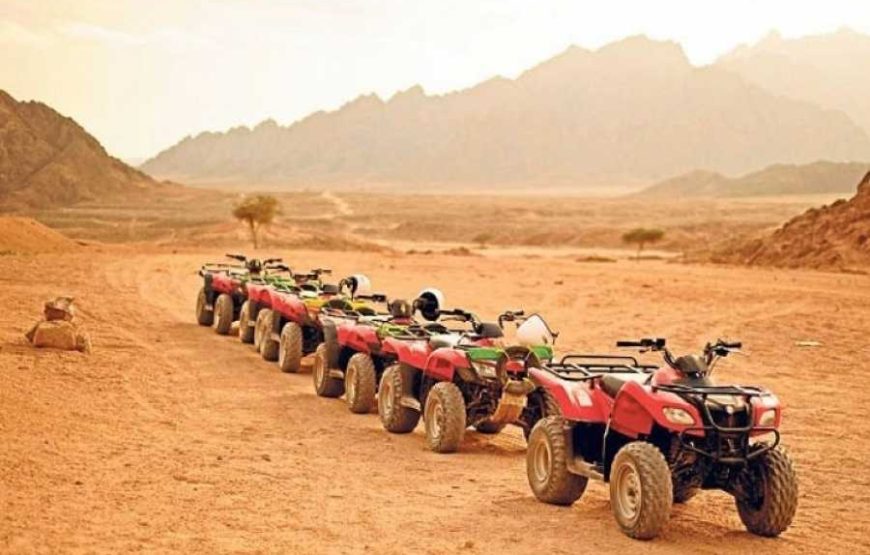 Super Safari Marsa Alam